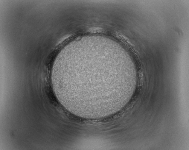 X0000116581158201001071208