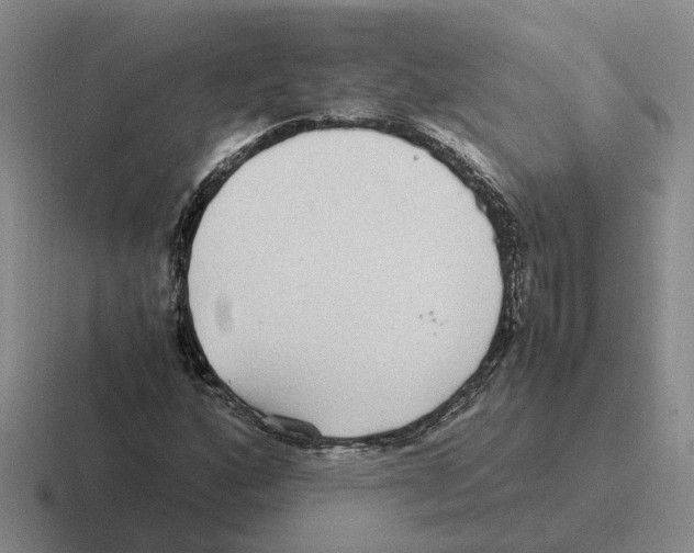 X0000116581160201001071208