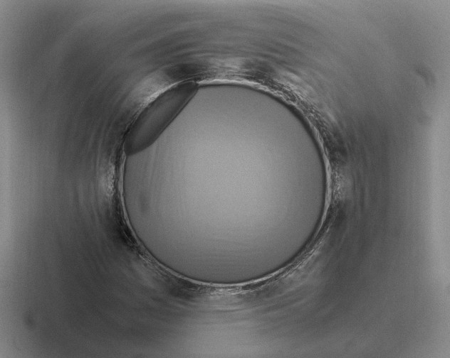 X0000116581161201001071208