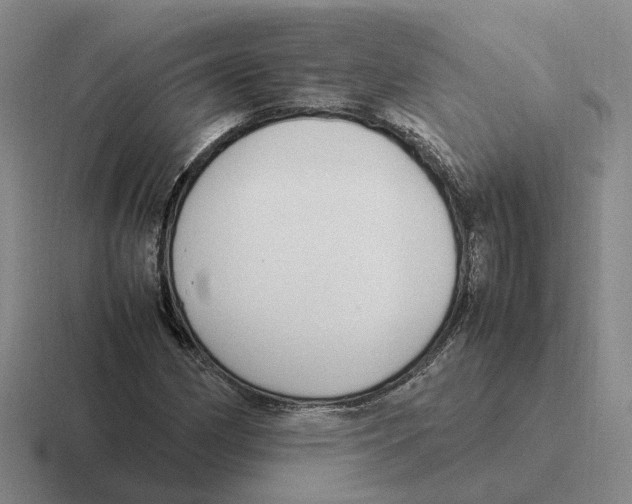 X0000116581162201001071208