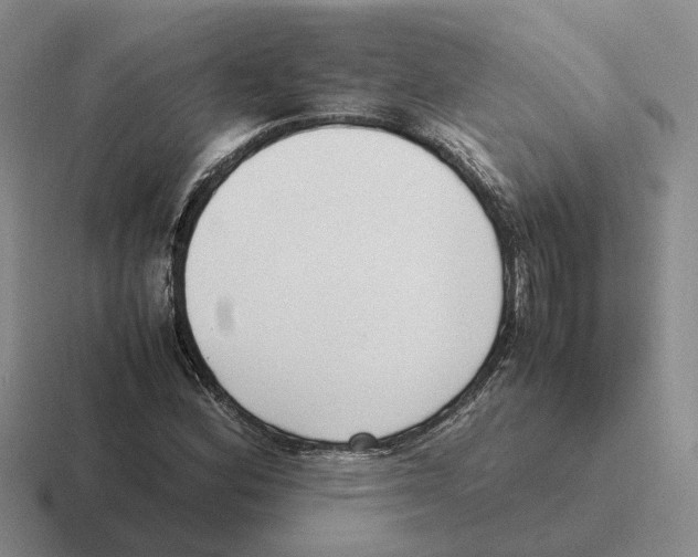 X0000116581164201001071208