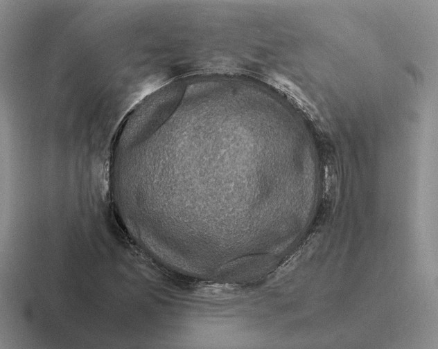 X0000116581165201001071208