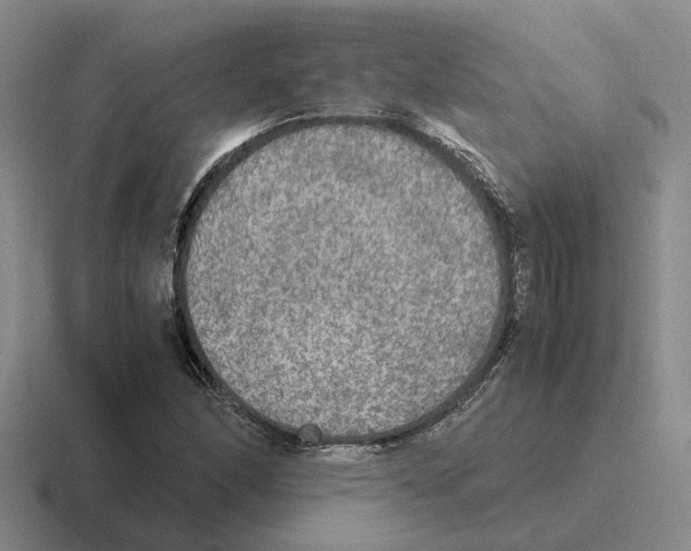 X0000116581166201001071208