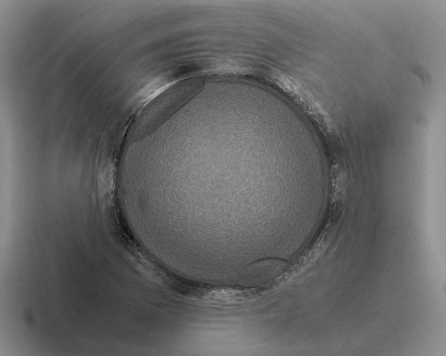 X0000116581169201001071208