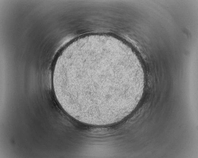 X0000116581171201001071208