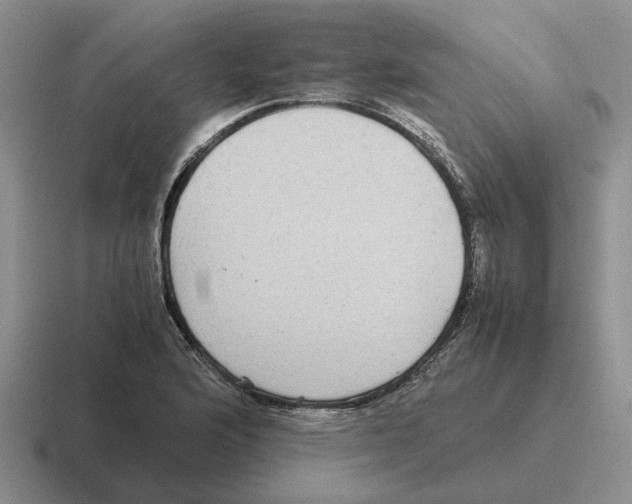 X0000116581176201001071208