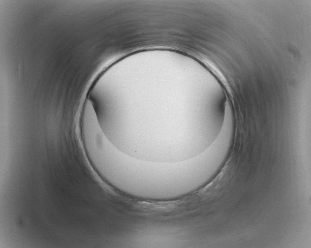 X0000116581197201001071208