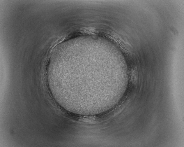 X0000116581201201001071207