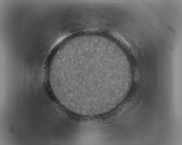 X0000116581208201001071207