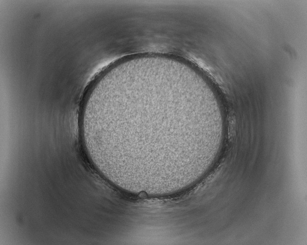 X0000116581214201001071207