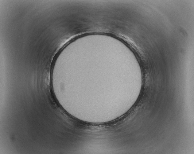 X0000116581220201001071207