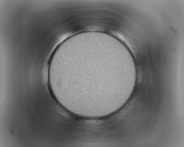 X0000116581227201001071208