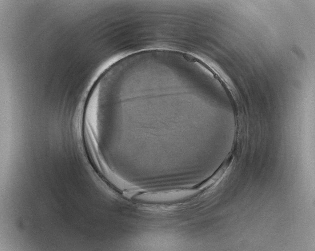 X0000116581246201001071208