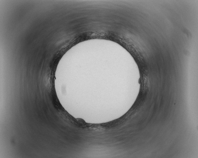 X0000116581250201001071207
