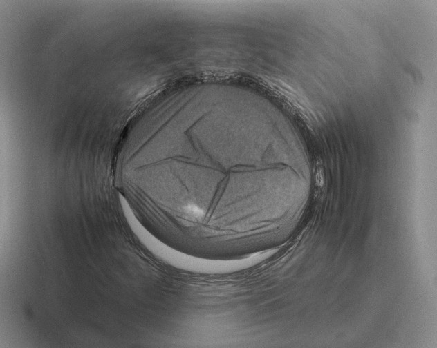 X0000116581252201001071207