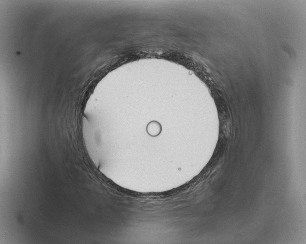 X0000116581253201001071207