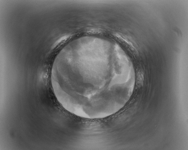 X0000116581254201001071207