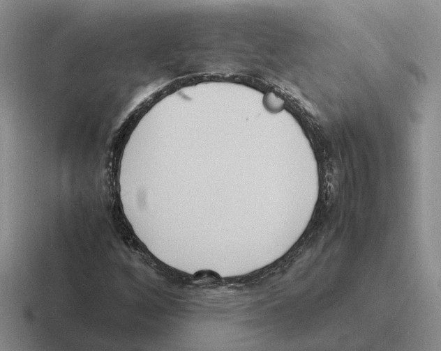 X0000116581256201001071207