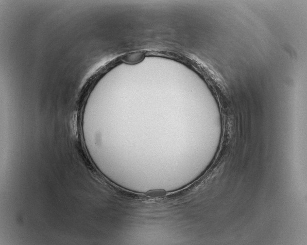 X0000116581262201001071207
