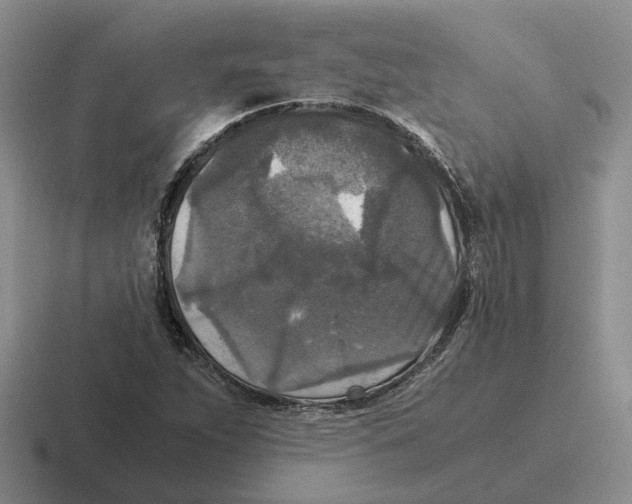 X0000116581263201001071207