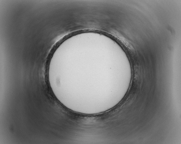 X0000116581264201001071207