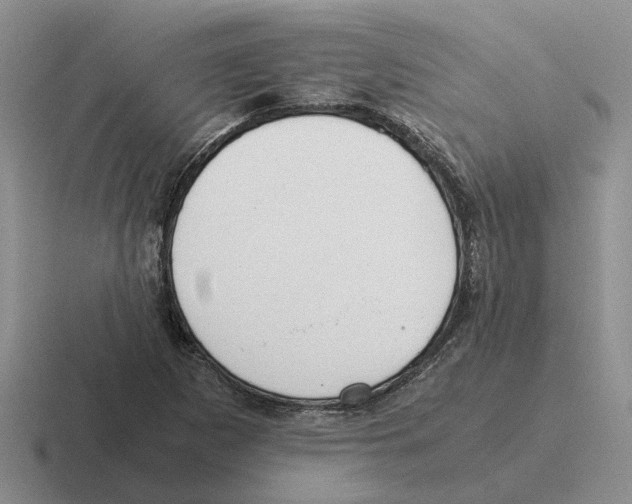 X0000116581265201001071207