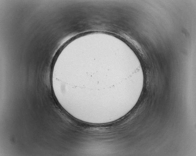 X0000116581272201001071207