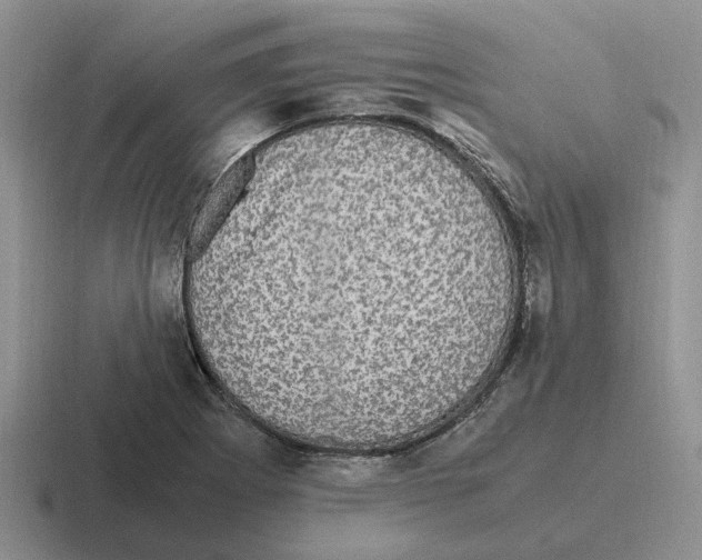 X0000116581273201001071207