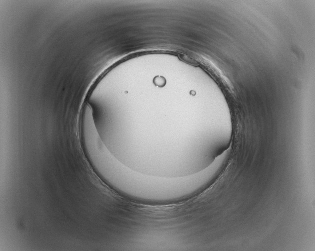 X0000116581276201001071207