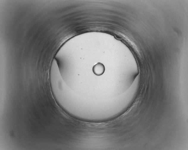 X0000116581281201001071207