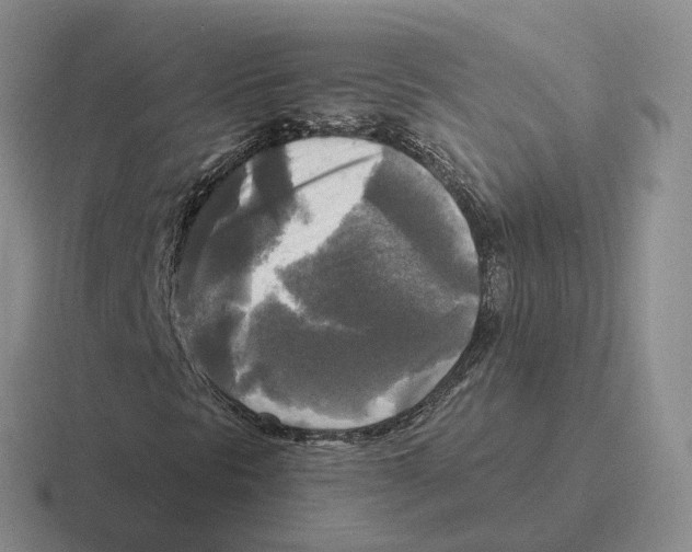 X0000116581297201001071206