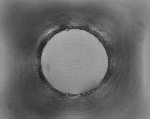 X0000116581303201001071206