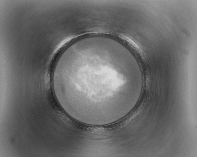 X0000116581310201001071206