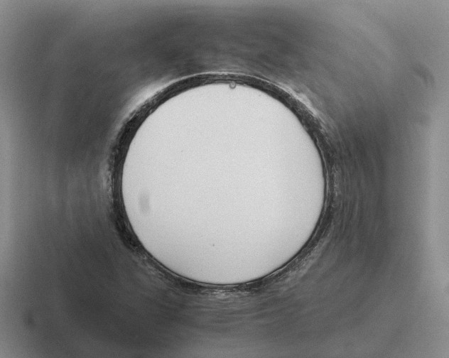 X0000116581311201001071206
