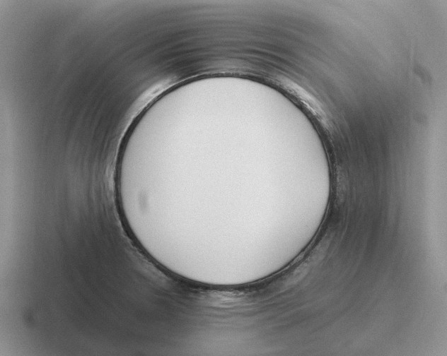 X0000116581330201001071206