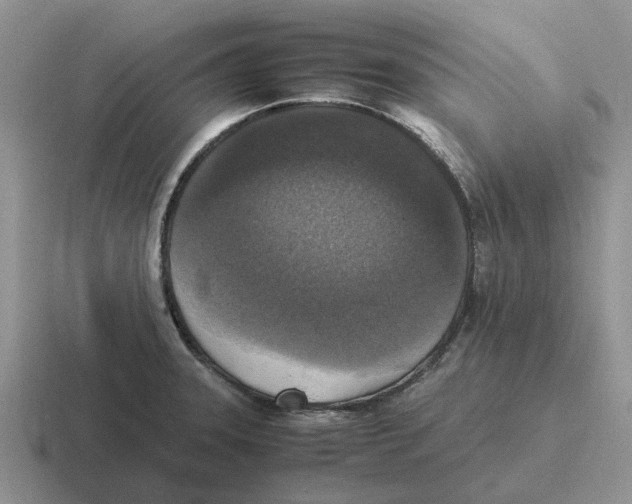 X0000116581331201001071206