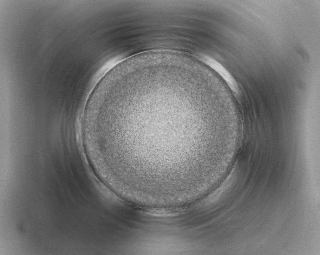 X0000116581338201001071207