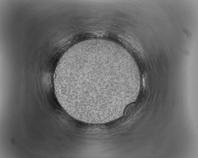 X0000116581347201001071206