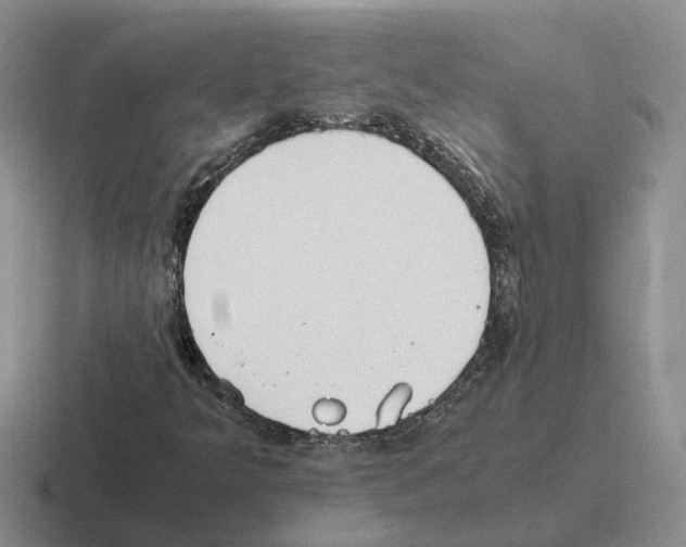 X0000116581349201001071206