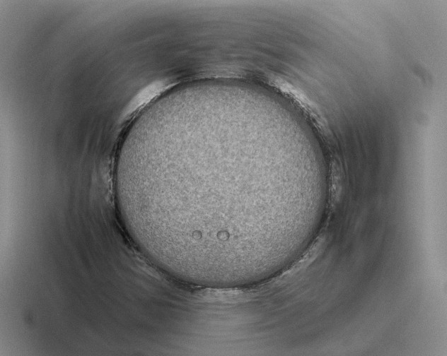 X0000116581354201001071206