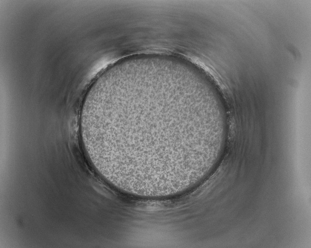 X0000116581355201001071206