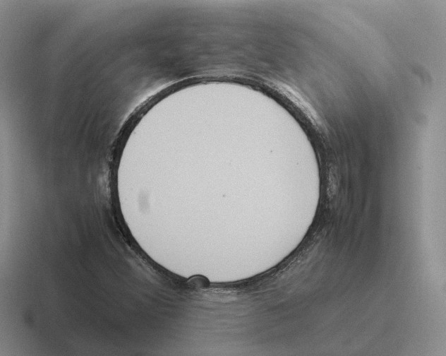 X0000116581356201001071206