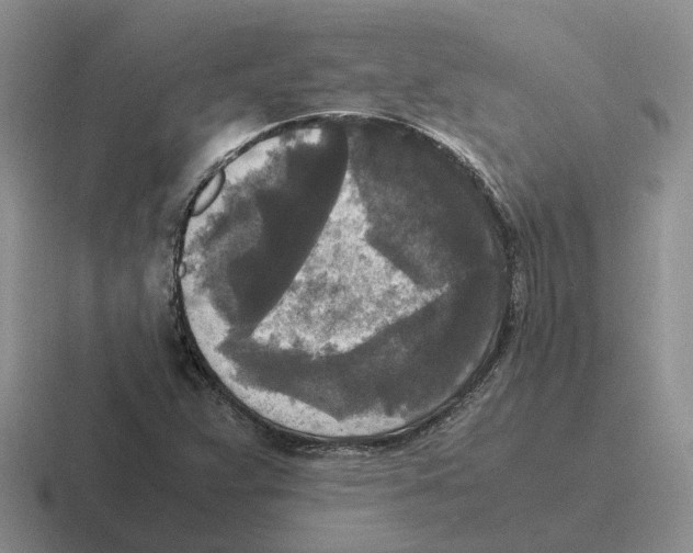 X0000116581359201001071206