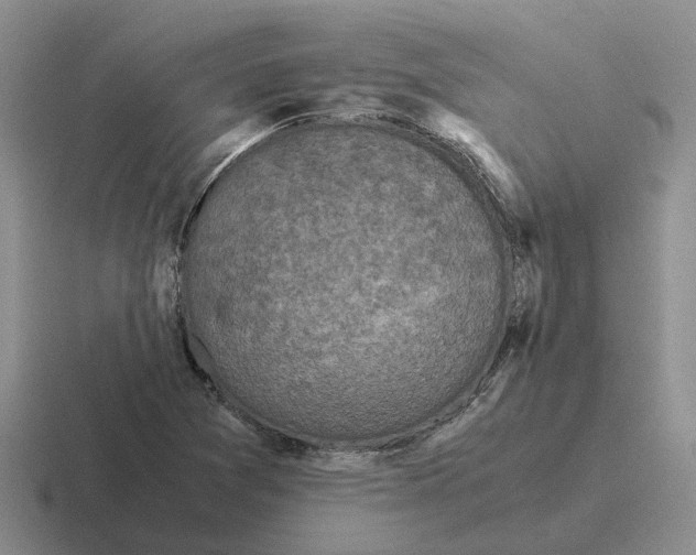 X0000116581361201001071206