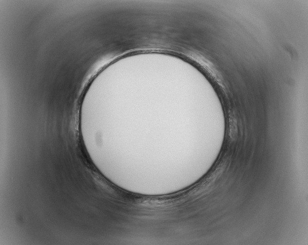 X0000116581366201001071206