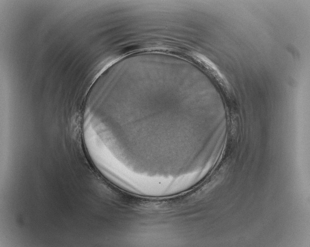 X0000116581369201001071206