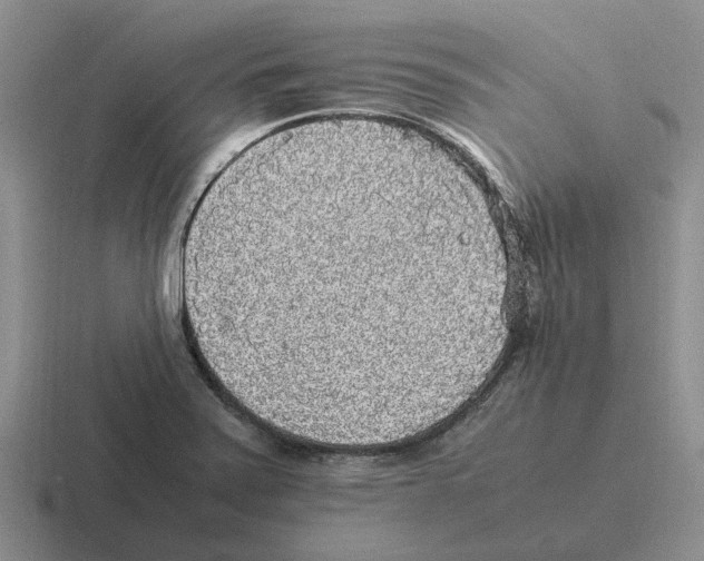X0000116581371201001071206