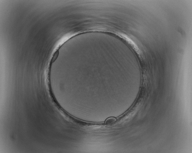 X0000116581373201001071206