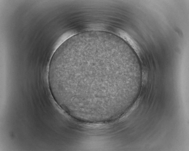 X0000116581386201001071205