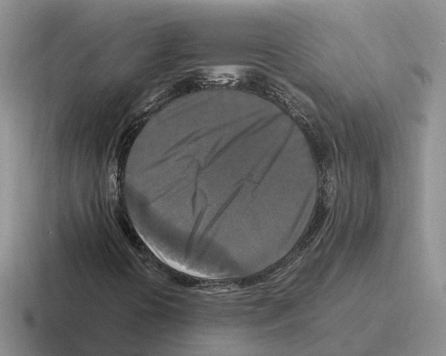 X0000116581394201001071205